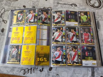 Album Adrenalyn 365 - 3