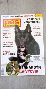 Pes přítel člověka - 3