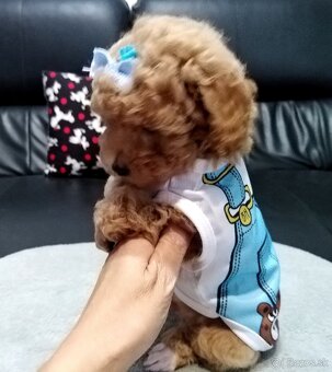 ❤️Pudlik mini toy ❤️ - 3