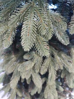 Umelý vianočný stromček 3D - 3