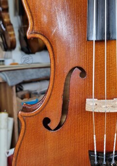 Viola 39 cm - 3