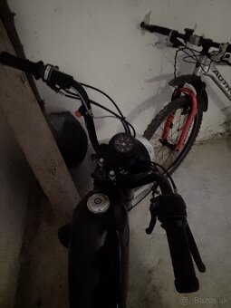 Puch( podobné ako babeta) - 3