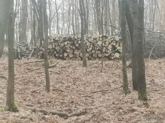 Predám palivové drevo čer buk - 3