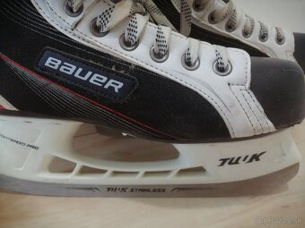 BAUER - 3