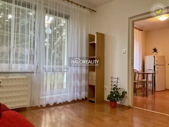 1 izbovy byt na prenajom - 3