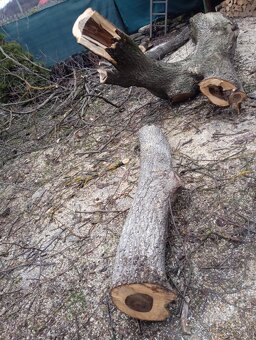 Predám orechové drevo - 3