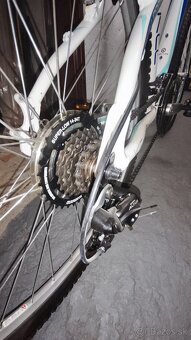 Kellys Vanity 20 - 3