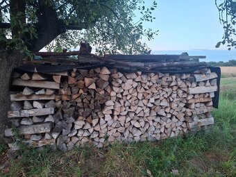 Suche 3 rocne nakalane krbové palivové drevo - 3
