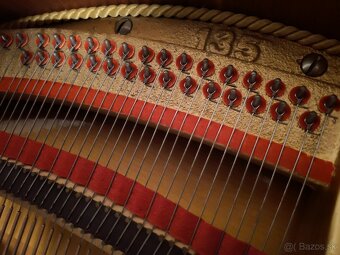 Nepremeškajte Najmenšie klavírne krídlo - 3