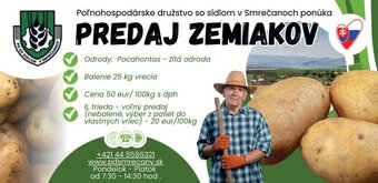 Predaj zemiakov PD Smrečany - 3