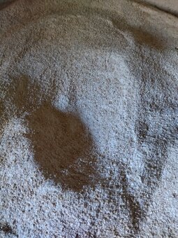 Pšenica, tritikale, - 3