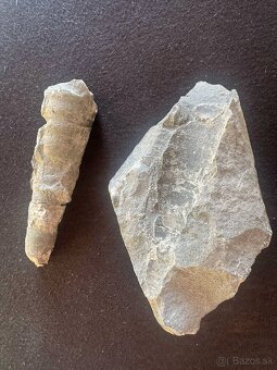 Skameneliny Orthoceras - 3