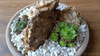 Okrasna mini skalka na balkon - 3
