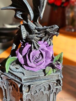 Anne Stokes Dragon Beauty Trinket Box nová kabička - 3