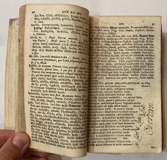 (slovník) Gradus Ad Parnassum, 1729, Trnava - 3