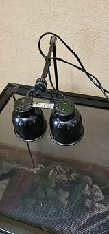 RP terarium 90 x 45 x 90 - 3