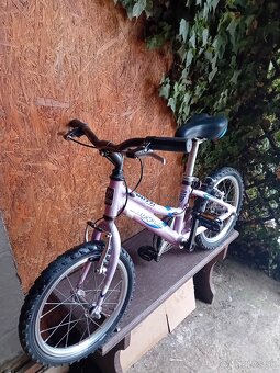 NUZZI KLIPPER ctb - 3