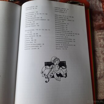 Kniha- Ako neprísť o dieťa - 3