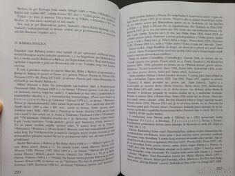 Slovenský juh v stredoveku - 3