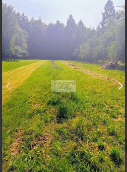 Rodinný dom / chata so 4683 m² pozemkom a kúskom lesa - 3