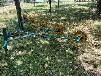 slniečkova hrabačka - 3