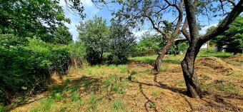 Záhrada v Novom Meste nad Váhom - 3