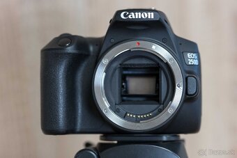 Canon EOS 250D - 3
