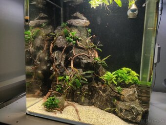 Nano akvárium 30l - 3