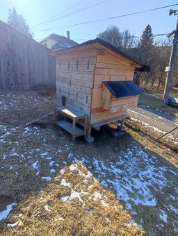 Kurín pre sliepky - 3