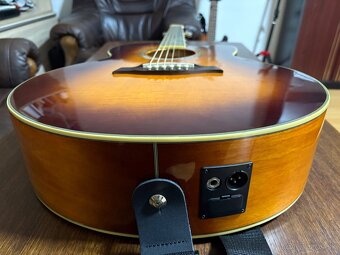 Elektroakustická gitara Ibanez AEL20EVV - 3