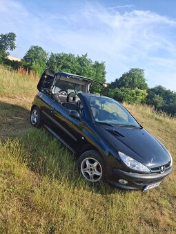 Peugeot 206 cc - 3
