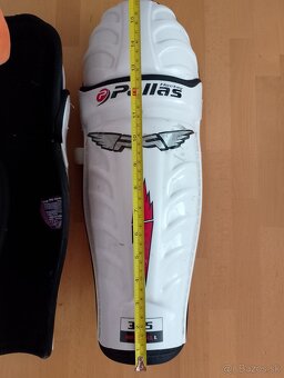 Hokejové holene PALLAS Rinkball 315 - 3