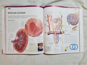 Ludske telo Unikatny obrazovy sprievodca DK Alice Roberts - 3