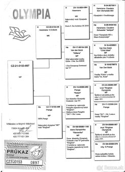Poštové holuby - 3