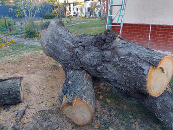 Čerešňové drevo - 3