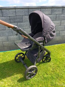 Roan bass next 2023 3v1 - 3