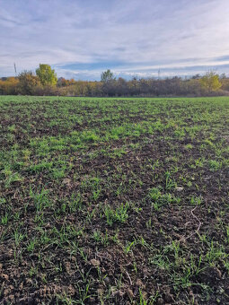 SENEC - NA PREDAJ investičné pozemky s platným ÚPI, určené n - 3