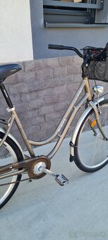 Kenzel 28" - 3