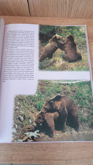 Predám knihu Naše šelmy - 3
