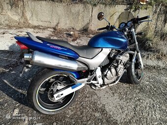 Honda Hornet 600 - 3