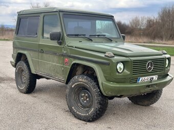 Mercedes g 300d w463 - 3