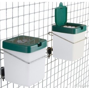 Burgundský králik - 3