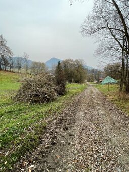 Darujem drevo na štiepku - 3