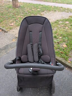 Dvojkočik Joolz day 5 - 3