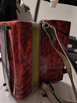 Delicia melodia V /96 basov - 3