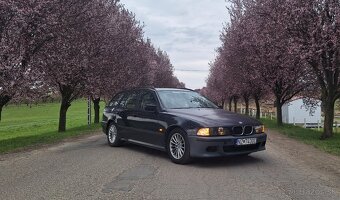 BMW E39 530D Touring automat - 3