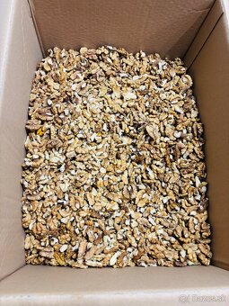 Vlašské orechy - 3