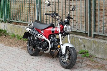 Honda DAX 125 - 3