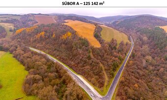 Rokycany – 233.000 m2 LESNÉ POZEMKY v podiele 1/1 - 3