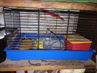 Príslušenstvo pre škrečka - 3